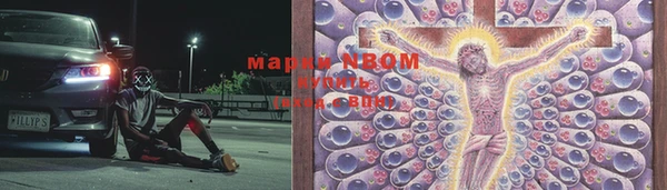 хмурый Гусь-Хрустальный