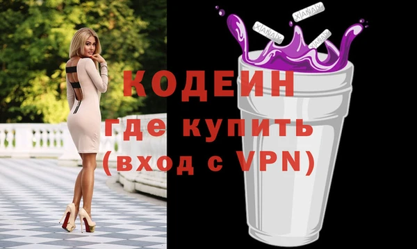 хмурый Гусь-Хрустальный
