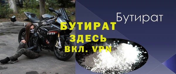 индика Гусев