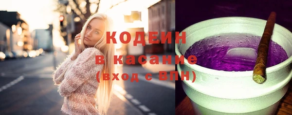 индика Гусев