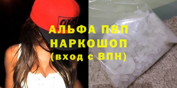 индика Гусев