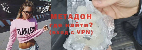 индика Гусев