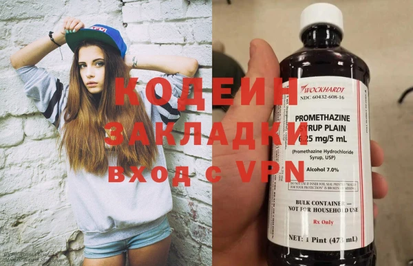 хмурый Гусь-Хрустальный