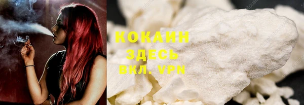 индика Гусев