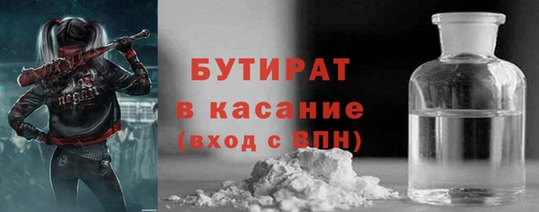 индика Гусев