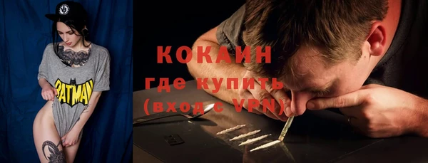 хмурый Гусь-Хрустальный