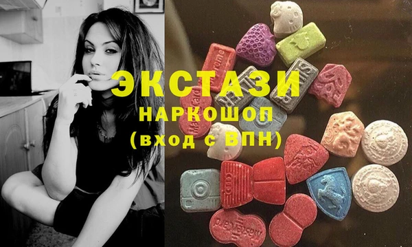 хмурый Гусь-Хрустальный