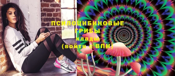 индика Гусев