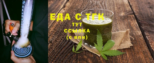 индика Гусев