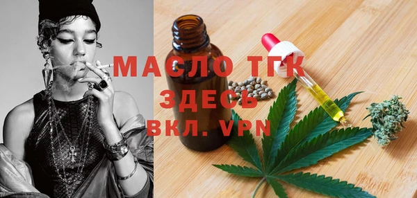 хмурый Гусь-Хрустальный