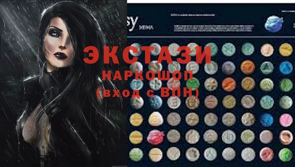 индика Гусев