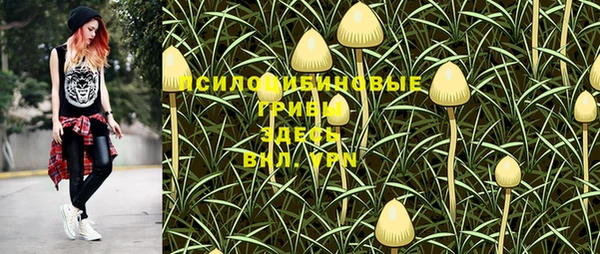 хмурый Гусь-Хрустальный