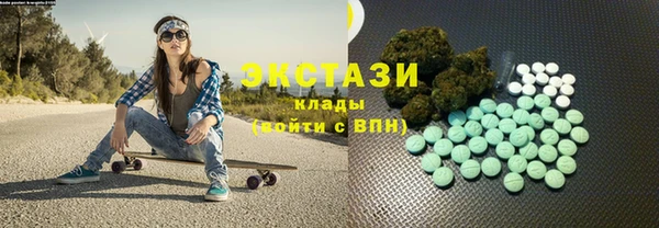 индика Гусев