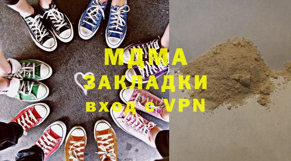 индика Гусев