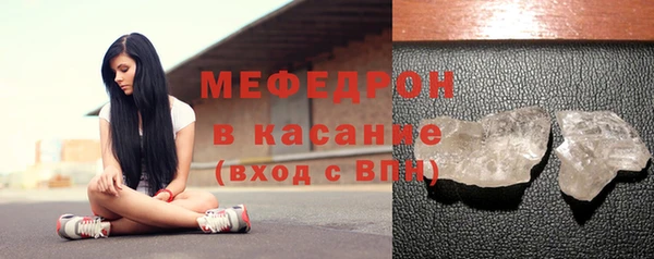 индика Гусев