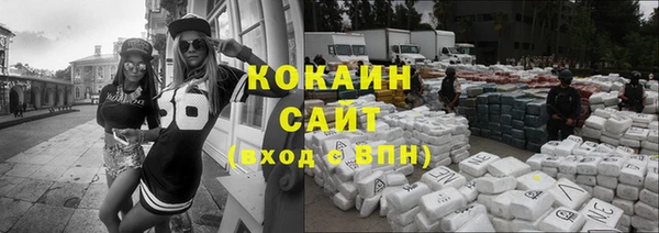 индика Гусев