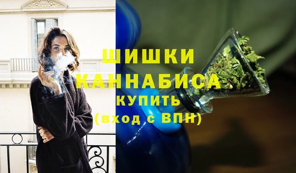 индика Гусев
