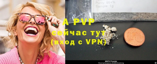 хмурый Гусь-Хрустальный
