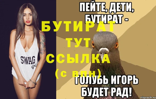 индика Гусев