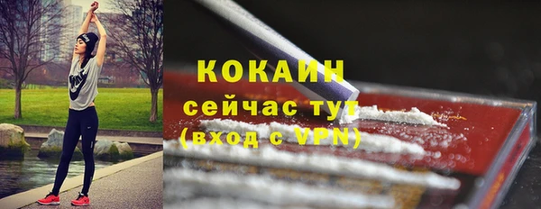 хмурый Гусь-Хрустальный